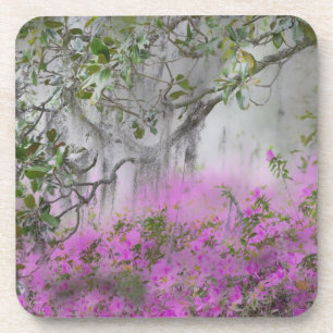 Porta-copo Composto digital de Azaleas e árvore magnólia
