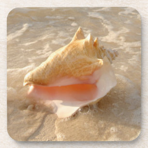 Porta-copo Conch Shell na areia na praia tropical