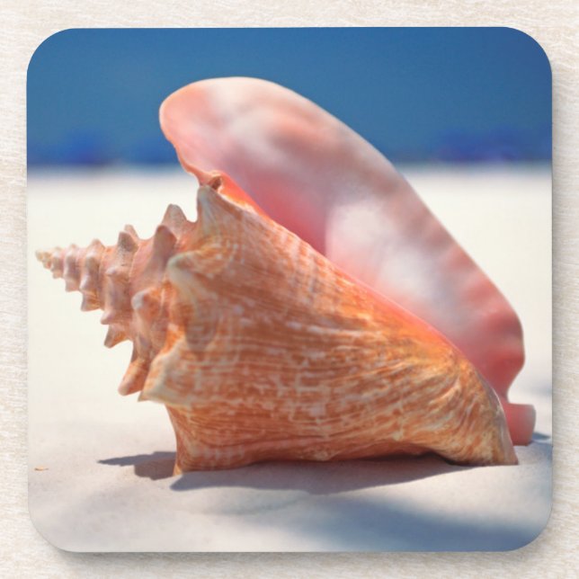 Porta-copo Conch Shell na praia 2 (Frente)