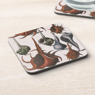 Porta-copo Conchas, Conchas Marinhas Antigas, Vida Marinha Oc