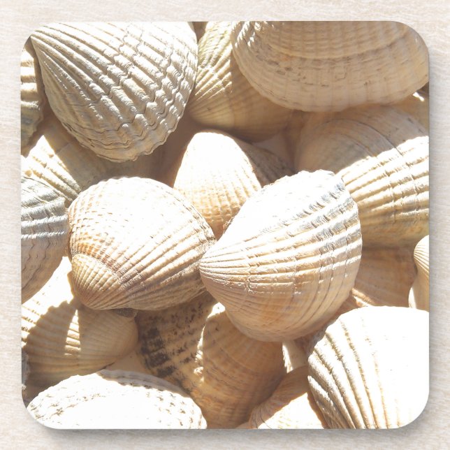 Porta-copo Conchas Exóticas Solares Tropicais (Frente)