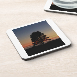 Porta-copo Conjunto de 6 portas copos resistentes de cortiça 