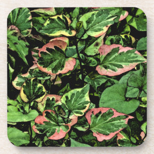 Porta-copo conjunto de porta-copos, PLANTAS CAMALEÃO/FOLHAS V