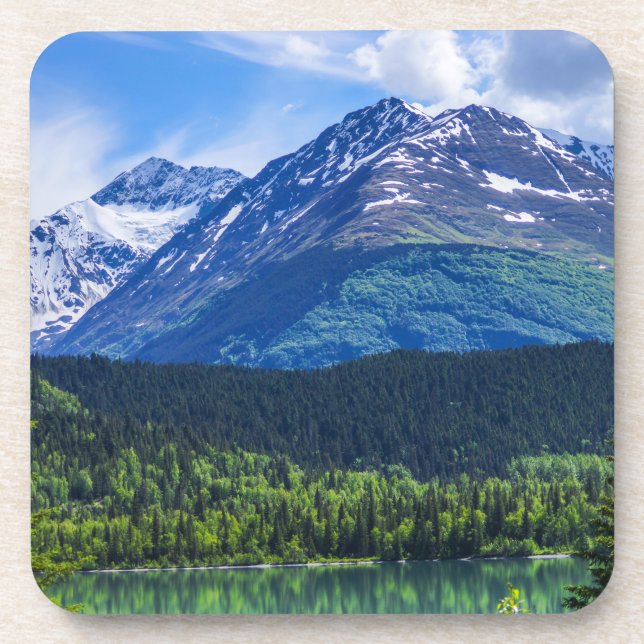 Porta-copo Conjunto de Portas copos de plástico do duro 6 (Frente)