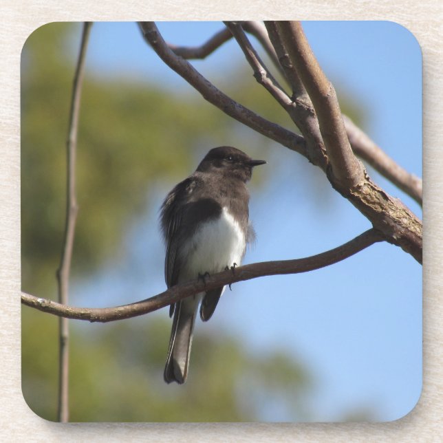 Porta-copo Conjunto de portas copos - Flycatcher (Frente)