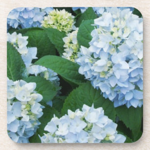 Porta-copo Conjunto de Portas copos Hydrangea