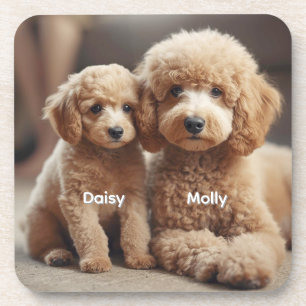 Porta-copo Conjunto de Portas copos Personalizadas do Poodle