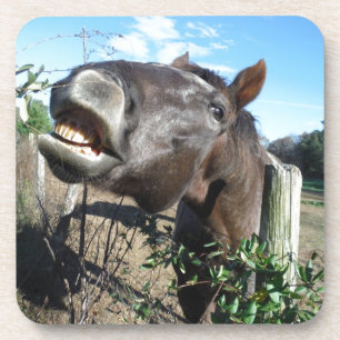 Porta-copo Conversando Cavalo Marrom