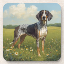 Coonhound Bluetick