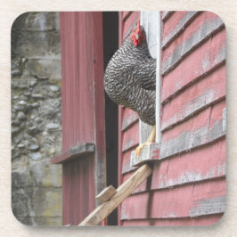 Porta-copo Coop de frango