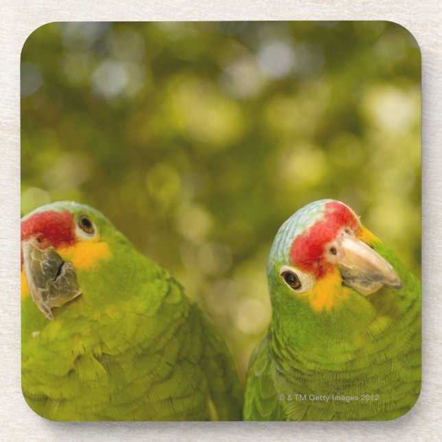 Porta-copo Copan, Honduras (Frente)