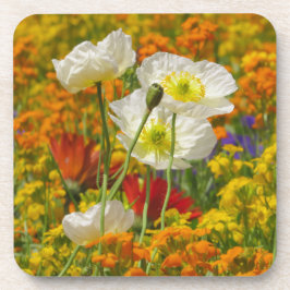 Porta-copo Copiáceas brancas que crescem em torno das flores