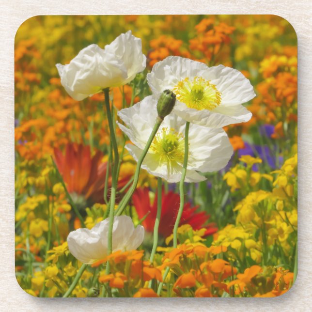 Porta-copo Copiáceas brancas que crescem em torno das flores  (Frente)