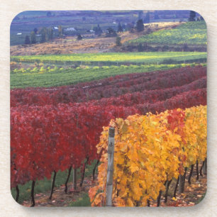 Porta-copo Cor de queda intensa de vermelho e amarelo em Gehr