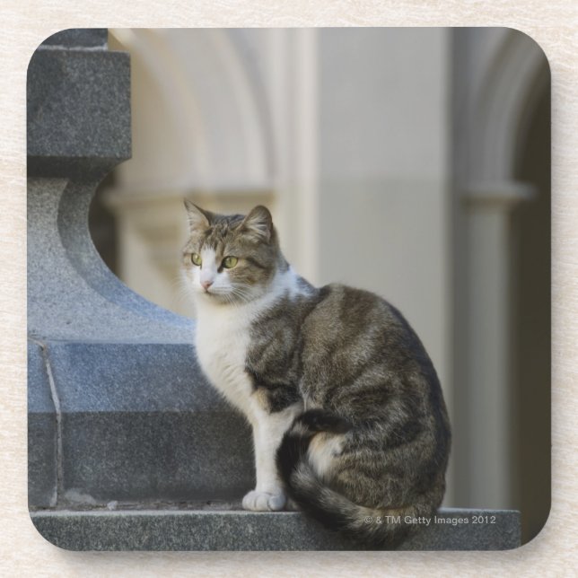 Porta-copo Córdova, Argentina (Frente)