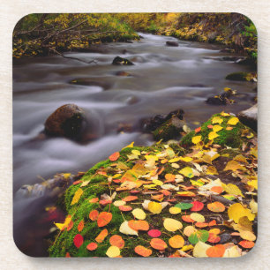 Porta-copo Cores de Outono ao longo do McGee Creek