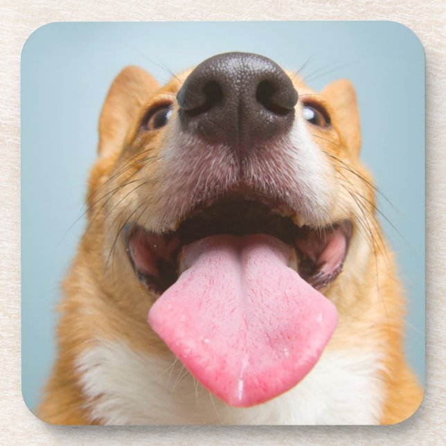 Porta-copo Corgi muito feliz das imagens | de Getty (Frente)