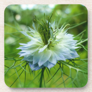 Porta-copo Cornflower