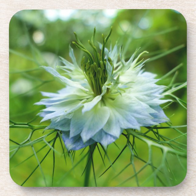 Porta-copo Cornflower (Frente)