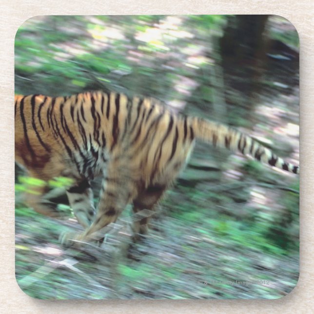 Porta-copo Corredor do tigre (Frente)