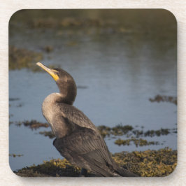 Porta-copo Corvo-marinho