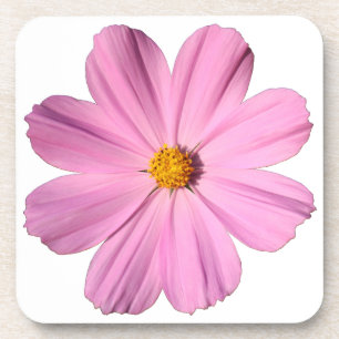 Porta-copo Cosmos cor-de-rosa