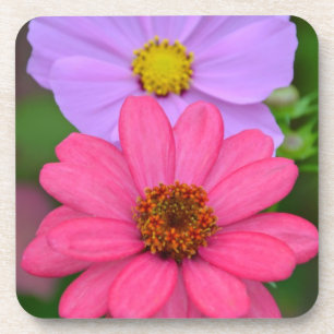 Porta-copo Cosmos e Zinnia impressão floral