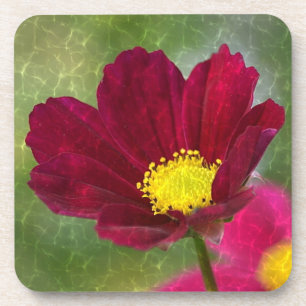 Porta-copo Cosmos Glory
