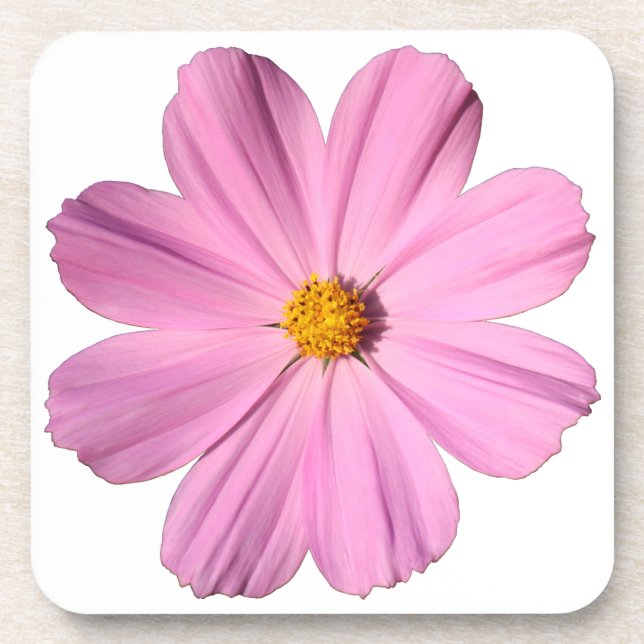 Porta-copo Cosmos Rosa (Frente)