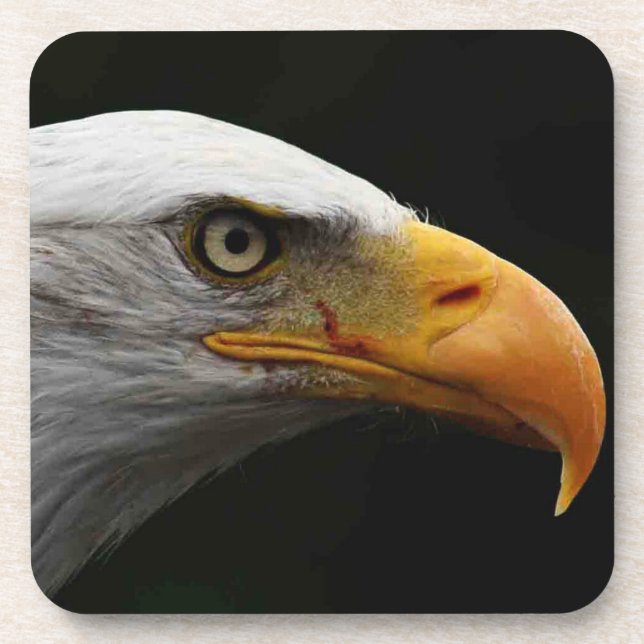 Porta-copo Costeira da águia-calda (Frente)