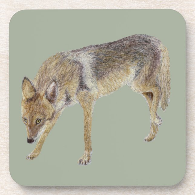 Porta-copo Coyote (Frente)