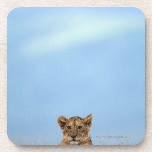 Porta-copo Cratera de Ngorongoro, Tanzânia