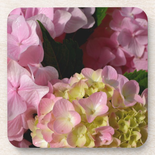 Porta-copo Creme cor-de-rosa Hydrangeas amarelas cor-de-rosa  (Frente)