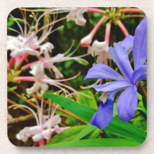 Porta-copo Crested Dwarf Iris