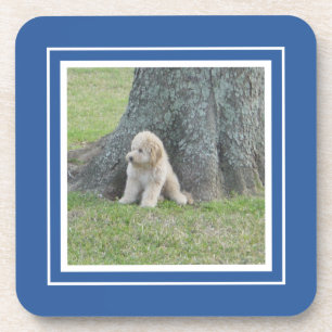 Porta-copo Crie seu próprio modelo de foto azul e branco