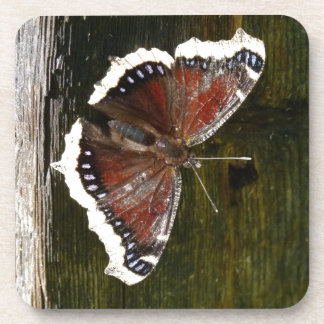Porta-copo Crimson e Borboleta Branca