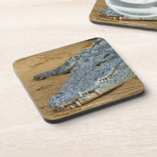 Porta-copo Crocodilo