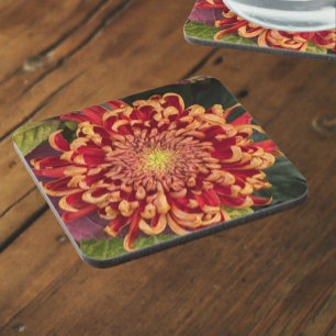 Porta-copo Curva Vermelha e Amarela Chrysanthemum Floral