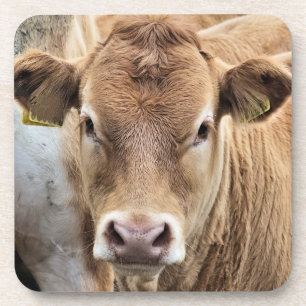 PORTA-COPO CUTE CALF