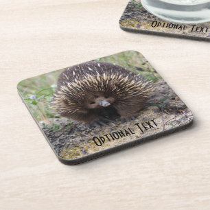 Porta-copo Cute Echidna, da Austrália