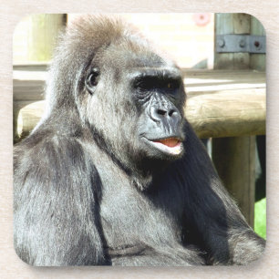 PORTA-COPO CUTE GORILLA