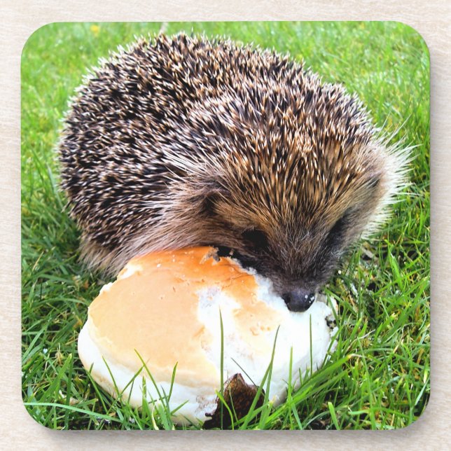 PORTA-COPO CUTE HEDGEHOG (Frente)