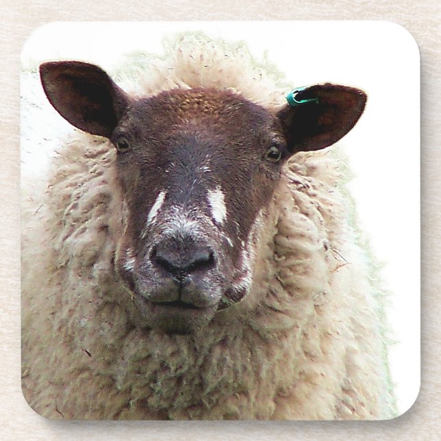 PORTA-COPO CUTE SHEEP (Frente)