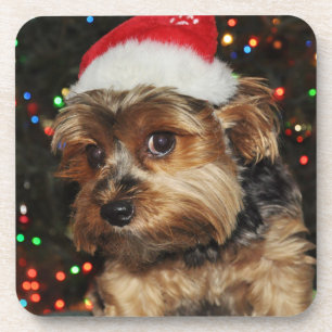 Porta-copo Cute Yorkshire terrier com Santa Hat