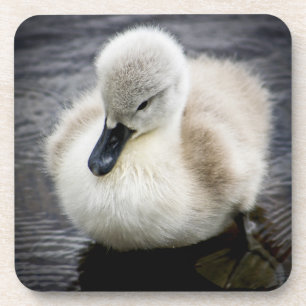 Porta-copo Cygnet da cisne   do bebê
