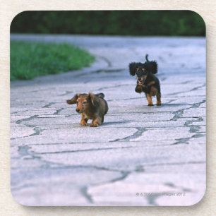 Porta-copo Dachshund diminuto 3
