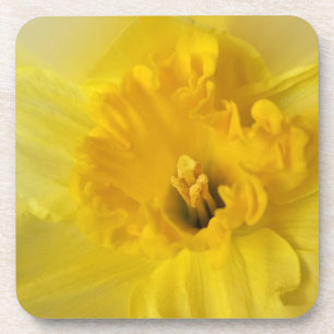 Porta-copo daffodilo amarelo