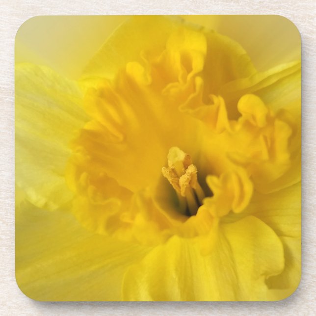 Porta-copo daffodilo amarelo (Frente)