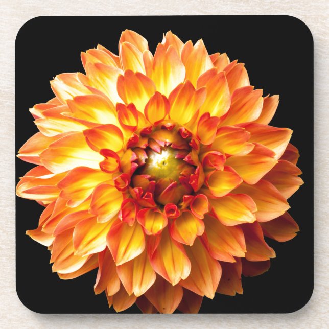 Porta-copo Dahlia (Frente)