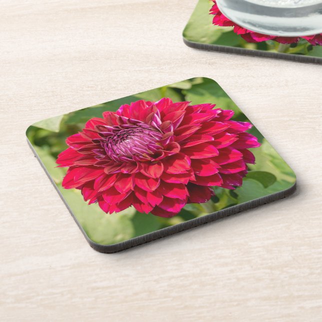 Porta-copo Dahlia Rosa, Bela Fotografia Flor (Left Side)